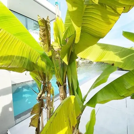 Palms Building